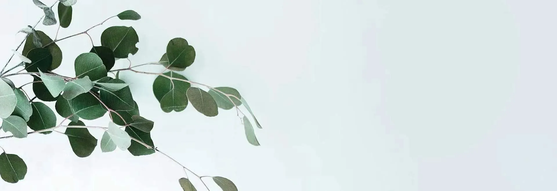 Australian made Eucalyptus Oils